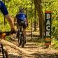Life Time Little Sugar MTB