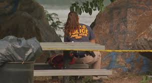 US Border Patrol agent shot in the face in New York City park