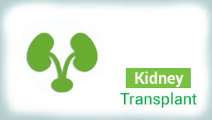 Best Kidney Transplant Hospital In India Apollo Hospitals