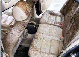 Even leaving wet clothing or towels. Protect Your Car S Interior From Mold Mildew Odors With Dri It Moisture Absorber