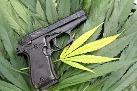 Concealed carry and medical card florida 2020. Can You Own A Gun And Have A Medical Marijuana Card Hogan Hogan Law Firm