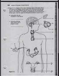 .9 the endocrine system chapter 10 blood chapter 11 the cardiovascular system chapter 12 the lymphatic system and body here you will be able to download anatomy and physiology coloring workbook: 160 Anatomy Physiology Coloring Workbook 5 Figure Chegg Com