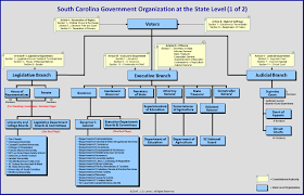 64 high quality political organization chart