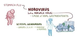 This short video explains what norovirus is, how it is spread, groups that are at high risk for severe disease and how you can protect . Norovirus Osmosis