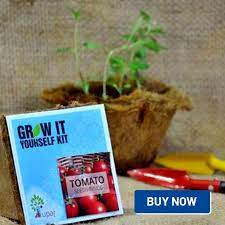 25 most beautiful indoor garden pictures from instagram in india. Want To Grow Vegetables This Rs 299 Kit Is All You Need To Get Started