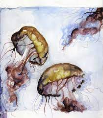 Jellyfish Watercolor Micron And Colored Pencil Watercolor Jellyfish Cool Pencil Drawings Jellyfish Art