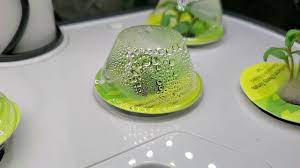 This gardening area can be cleaned up effectively with the usage of bleaches or vinegar. Help My Aerogarden Is Moldy Youtube