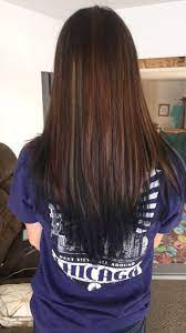 Black Bottom Layer Brown Highlights On Top Hair Hair Beauty Long Hair Styles