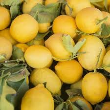 Lemon Essential Oil Yellow Aesthetic Aesthetic Lemon Essential Oils