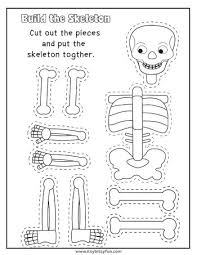 Human Body Worksheets Itsybitsyfun Com Human Body Worksheets Body Preschool Human Body Lesson