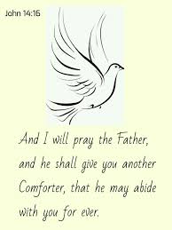 Look At The Birds Of The Air Kjv Pin On Word Of God