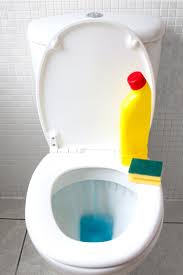 Maybe you would like to learn more about one of these? 3 Different Techniques To Clean A Toilet Seat