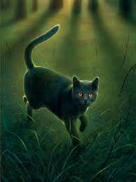 Gray Wing Warriors Wiki Fandom Want to make your own warrior cats world? gray wing warriors wiki fandom