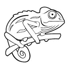 Realistic veiled chameleon coloring page from chameleon category. Chameleon Coloring Pages Free Printables Momjunction