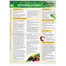 Excalibur Detoxification Information Chart