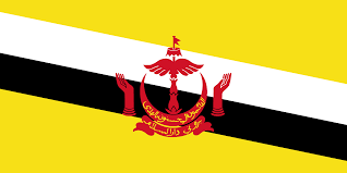 So while the competition might be said to have influenced the flag it would be difficult to say that any one entry was the 'winner' because the final flag. Every Country S Flag In The Style Of Brunei Warning Contains Heraldry Album On Imgur