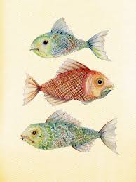 Three Fish Fish Art Funny Art Animal Art