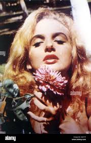 Eva hi-res stock photography and images