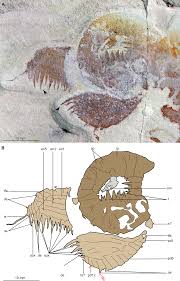 نتیجه جستجوی لغت [appendages] در گوگل