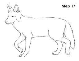 Please respect that and don't try to hit on me. How To Draw A Coyote Animal Drawings Pencil Drawings Of Animals Coyote Drawing