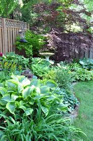 Pin On Shade Garden