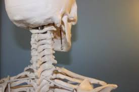 Was Ist Eine Osteochondrose Ursachen Symptome Behandlung Krank De