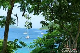 Terre De Haut Les Saintes Guadeloupe Island Outdoor Beach