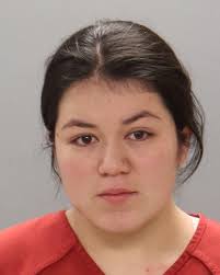 Knox county arrest records available online