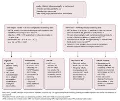 Image result for Fetal Testing Indications