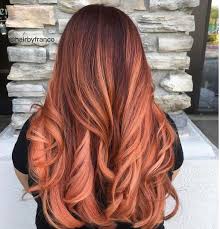 Copper Rose Hair Color Rose Gold Copper Rose Gold Hair Hair Color 2017