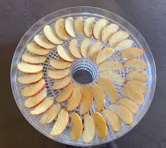 Recette De Pommes Sechees Au Deshydrateur Cuisine Blog Recette Recette Pomme Pomme Recette