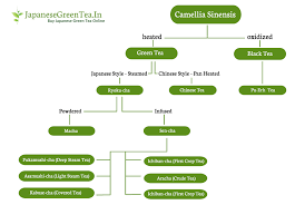 Japanese Green Tea Simply Explained Japanesegreentea In