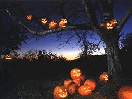 Seasonalwonderment Happy Halloween Halloween Pictures Halloween Pumpkins Halloween Gif
