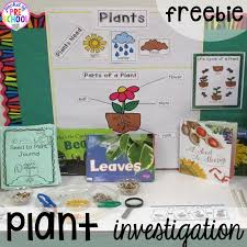 It even includes a observation sheet that is easy enough for. Spring Activities And Centers For Preschool Pre K And Kindergarten Pocket Of Preschool