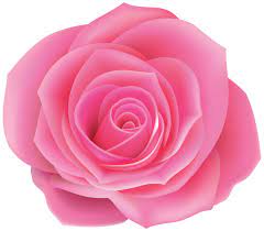 Rose Pink Clip Art Image Beautiful Flowers Images Pink Roses Flower Clipart