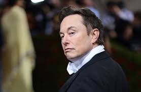 Perché Musk, Taibbi e Weiss salvano i social e la democrazia