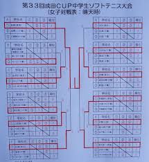 成田 カップ ソフトテニス