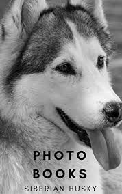 In considering our puppies for your family and home, we highly recommend that you do a lot of research on the breed to make sure they are the right breed for you; Photo Books Siberian Husky Dogs Cute Siberian Husky Dogs Photo Book Dog 1 Kindle Edition By Ryo Kirin Crafts Hobbies Home Kindle Ebooks Amazon Com