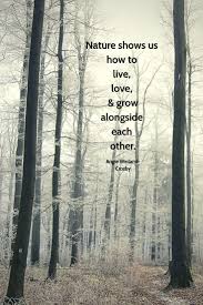 Nature Quotes For The Wandering Soul Nature Lover Quotes Mother Nature Quotes Nature Quotes