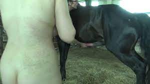 Horse cums in women