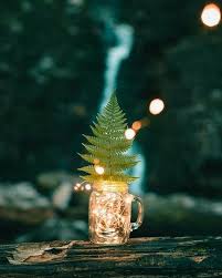 Fairy Lights Battery Operated For Bedroom Indoor Outdoor Warm White 60 Leds 20f Timer Copper Wire Lights Pack Of 3 Set Fairy Light Photography Beautiful Wallpapers Fairy Lights