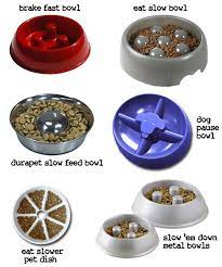 Got One These For My Baby Dogs Http Baby Dogs 419 Blogspot Com Pet Hacks Dog Food Recipes Dog Eating