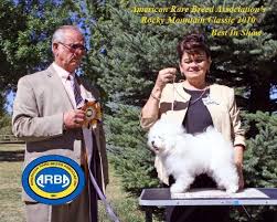Doing so will enable registered bolognese dog breeders to quickly scan through your requests, and at the same time we ensure your privacy as your email address will always be protected from the general public. Bolognese Puppies