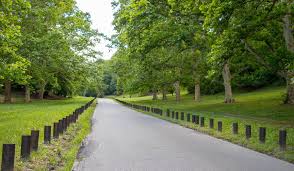 Background on the belgrade forest. Belgrade Attractions Park Forest Kosutnjak Belgrade Beat