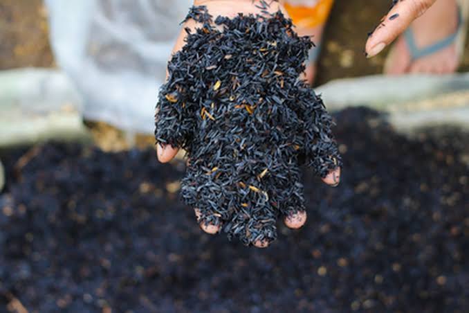 Rice Husk Biochar
