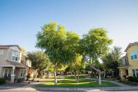 Maybe you would like to learn more about one of these? Enter Agritopia Arizona A Design Utopia Redefining Urban Planning Architectural Digest