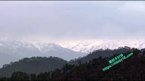 黑料吃瓜不打烊- 原始生活21天系列第十六集开局一男一女没衣服没食物在非洲21天荒野求生原始生活21天- 黑料不打烊-吃瓜黑料、八卦爆料，24小时不打烊