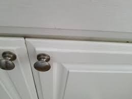 I should've known not to use touch up paint in the middle of a door. My Favorite Paint For Cabinets Easy Peasy Touch Up Paint Favorite Paint Colors Blog