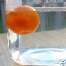 exploring the density of orange parts