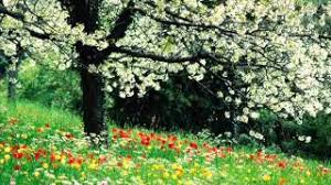 Hobby 15 aprilie 2014 poezii, poezii primavara. Primavara Lui Toparceanu Trupa Mondial Youtube